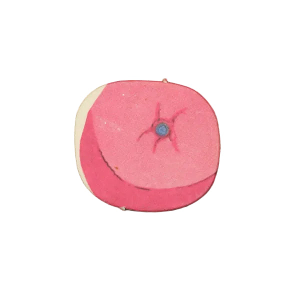 Mattel Barbie 1st Dream House Pillow