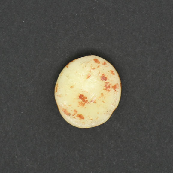 Mattel Vintage 1960s Barbie Ken Wax Cinnamon Roll