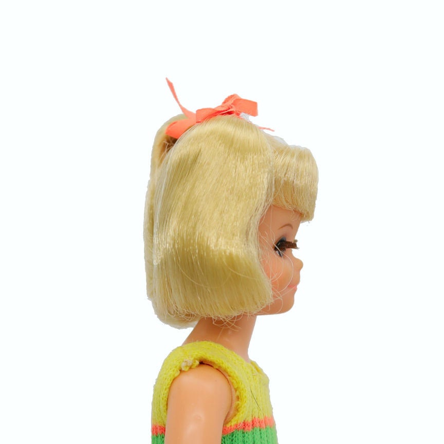 Mattel Skipper's Friend Fluff Living Doll