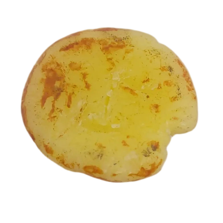 Mattel Barbie Ken 1961 Wax Cinnamon Roll