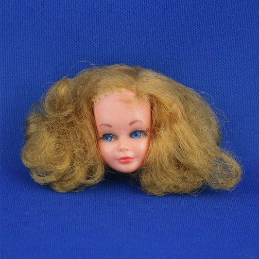 Mattel Skipper Living Head Only