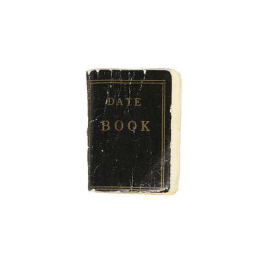 Ideal Tammy Date Book