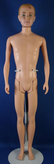 Mattel Ken Flocked Hair doll