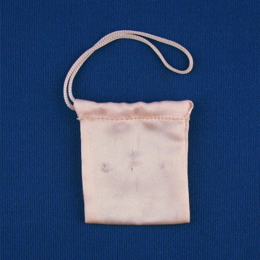 Mattel Skipper Ballet Class / Ballet Lessons Satin Bag