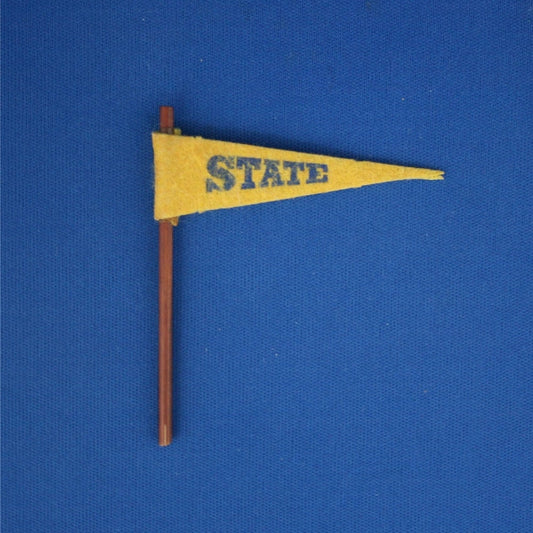 Mattel Ken Campus Hero Pennant Banner